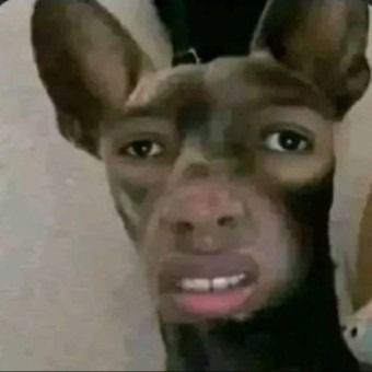 Avatar for gramoofabits