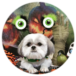 Avatar for medusavamp